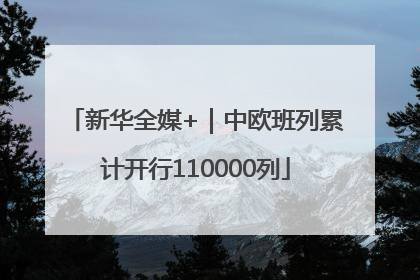 新华全媒+｜中欧班列累计开行110000列