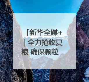 新华全媒+｜全力抢收夏粮 确保颗粒归仓
