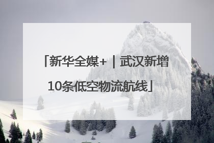 新华全媒+｜武汉新增10条低空物流航线