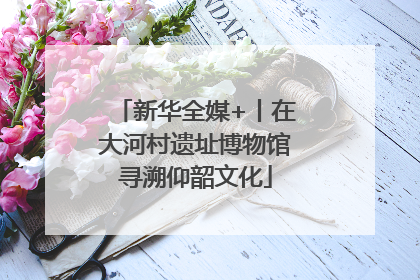 新华全媒+丨在大河村遗址博物馆寻溯仰韶文化