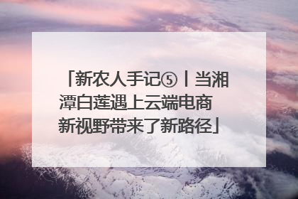 新农人手记⑤丨当湘潭白莲遇上云端电商 新视野带来了新路径