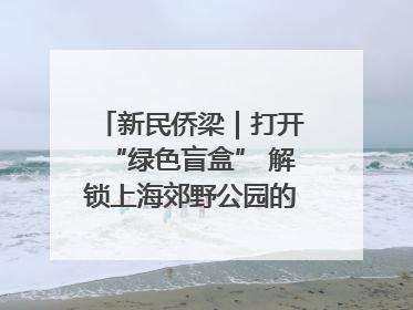 新民侨梁｜打开“绿色盲盒” 解锁上海郊野公园的N种玩法