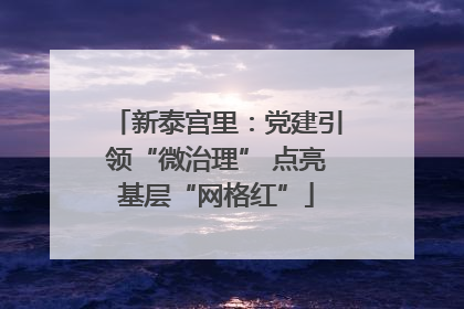 新泰宫里：党建引领“微治理” 点亮基层“网格红”