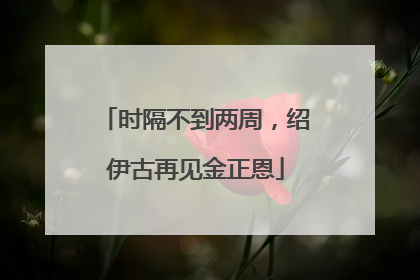 时隔不到两周，绍伊古再见金正恩