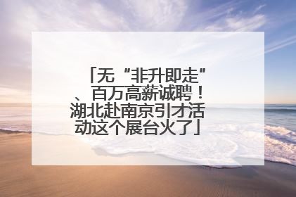 无“非升即走”、百万高薪诚聘！湖北赴南京引才活动这个展台火了