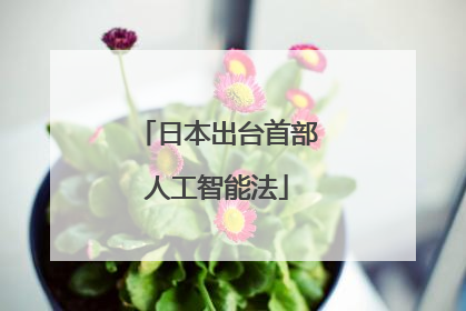 日本出台首部人工智能法