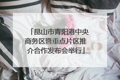 昆山市青阳港中央商务区暨重点片区推介合作发布会举行