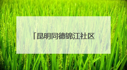 昆明同德锦江社区开展“粽情端午 邻里共融”主题活动
