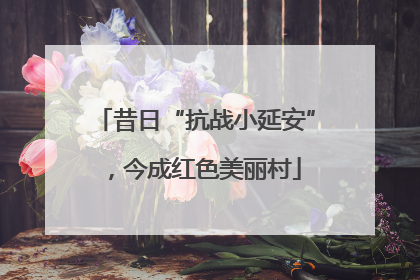 昔日“抗战小延安”，今成红色美丽村