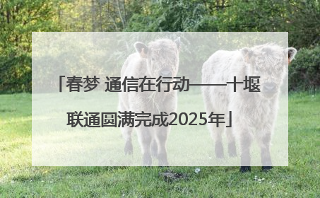 春梦 通信在行动——十堰联通圆满完成2025年