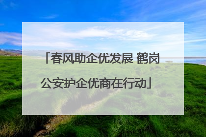 春风助企优发展 鹤岗公安护企优商在行动
