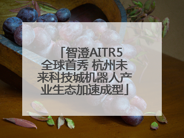 智澄AITR5全球首秀 杭州未来科技城机器人产业生态加速成型