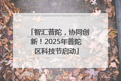 智汇普陀，协同创新！2025年普陀区科技节启动