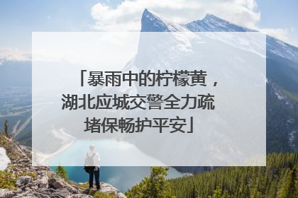 暴雨中的柠檬黄，湖北应城交警全力疏堵保畅护平安