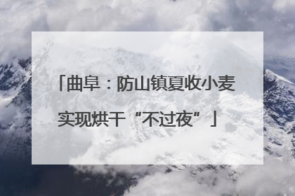曲阜：防山镇夏收小麦实现烘干“不过夜”