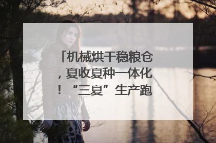 机械烘干稳粮仓，夏收夏种一体化！“三夏”生产跑出加速度｜麦报