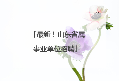 最新！山东省属事业单位招聘