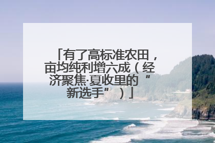 有了高标准农田，亩均纯利增六成（经济聚焦·夏收里的“新选手”）