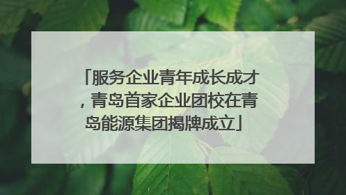服务企业青年成长成才，青岛首家企业团校在青岛能源集团揭牌成立