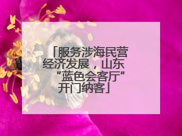服务涉海民营经济发展，山东“蓝色会客厅”开门纳客