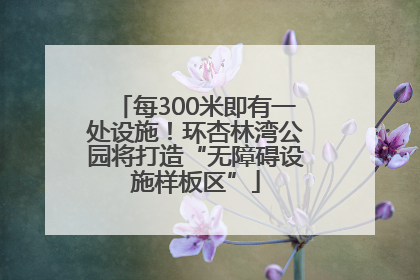 每300米即有一处设施！环杏林湾公园将打造“无障碍设施样板区”