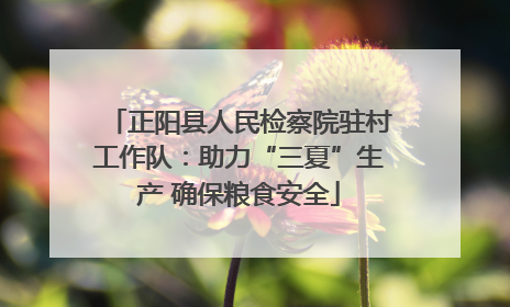 正阳县人民检察院驻村工作队：助力“三夏”生产 确保粮食安全