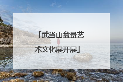 武当山盆景艺术文化展开展