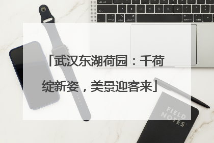 武汉东湖荷园：千荷绽新姿，美景迎客来