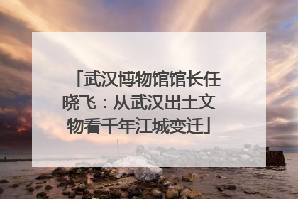 武汉博物馆馆长任晓飞：从武汉出土文物看千年江城变迁