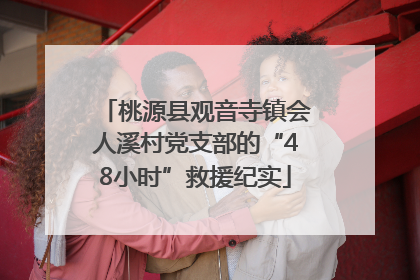 桃源县观音寺镇会人溪村党支部的“48小时”救援纪实