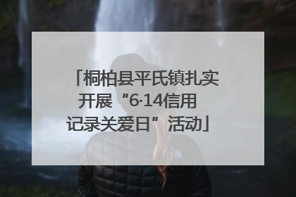 桐柏县平氏镇扎实开展“6·14信用记录关爱日”活动