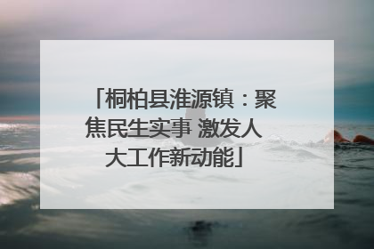 桐柏县淮源镇：聚焦民生实事 激发人大工作新动能