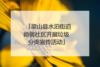 梁山县水泊街道德馨社区开展垃圾分类宣传活动