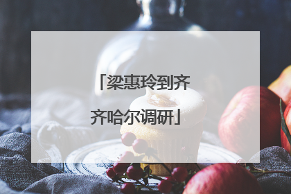 梁惠玲到齐齐哈尔调研