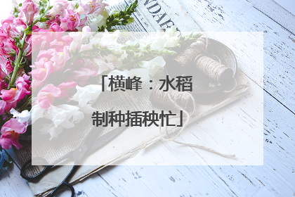 横峰：水稻制种插秧忙