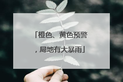 橙色、黄色预警，局地有大暴雨