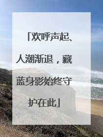 欢呼声起、人潮渐退，藏蓝身影始终守护在此