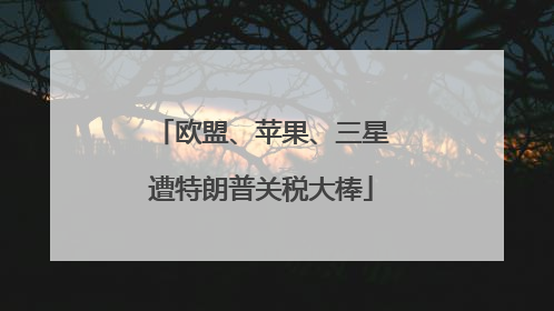 欧盟、苹果、三星遭特朗普关税大棒