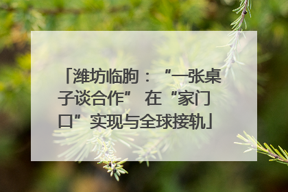 潍坊临朐：“一张桌子谈合作” 在“家门口”实现与全球接轨