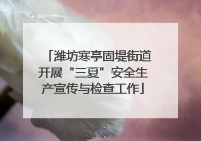 潍坊寒亭固堤街道开展“三夏”安全生产宣传与检查工作