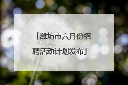 潍坊市六月份招聘活动计划发布