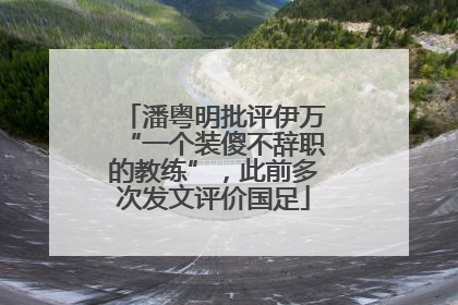 潘粤明批评伊万“一个装傻不辞职的教练”，此前多次发文评价国足