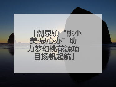 潮泉镇“桃小美·泉心办”助力梦幻桃花源项目扬帆起航