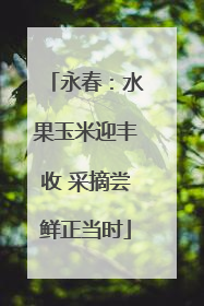 永春：水果玉米迎丰收 采摘尝鲜正当时