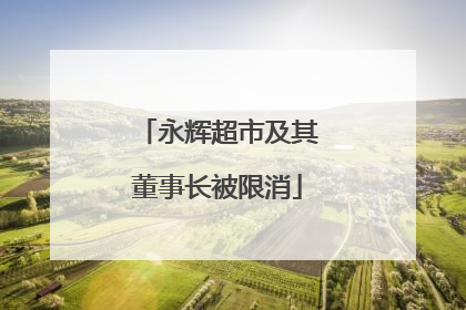 永辉超市及其董事长被限消