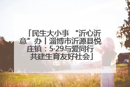 民生大小事 “沂心沂意”办丨淄博市沂源县悦庄镇：5·29与爱同行 共建生育友好社会