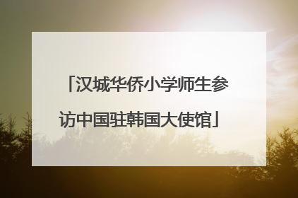汉城华侨小学师生参访中国驻韩国大使馆