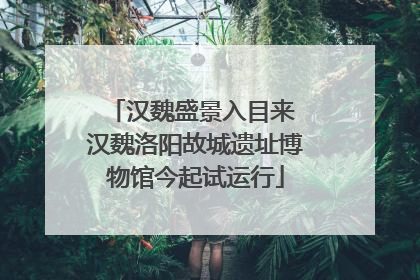 汉魏盛景入目来 汉魏洛阳故城遗址博物馆今起试运行