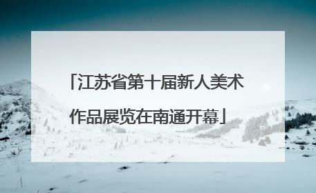 江苏省第十届新人美术作品展览在南通开幕