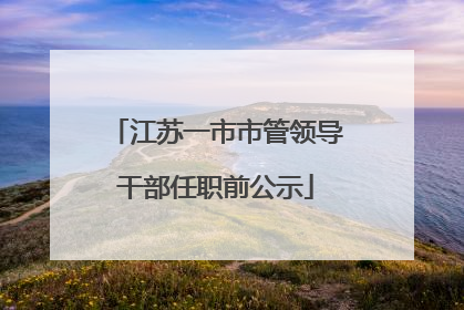 江苏一市市管领导干部任职前公示